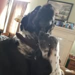 Deb Douglas - @lpn7455 - Instagram