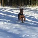 Deb Doyle - @ddbax - Instagram