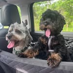 Debi Doyle - @debdoyle37 - Instagram