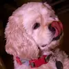 debdunn447 - @debdunn447 - TikTok