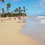 Debbie Earl - @debearl - Instagram