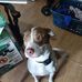 Deb Ellis - Facebook