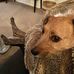 Deb Ellis - Facebook