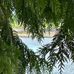 Deb Erickson - Facebook