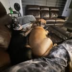 Deb Ferguson - @kilojazz - Instagram