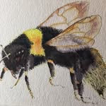 Deb Ferguson - @fergusondeb - Instagram