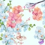 Deb Ferguson Bagnall - @debfergusonbagnall - Instagram