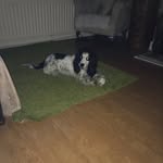DebFerguson - @debferguson70 - Instagram
