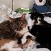 Deb Finney - Facebook