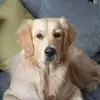 debbiefinney0 - @debbiefinney0 - TikTok