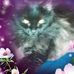Deborah Finney - Facebook