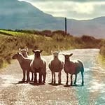 Deb Foley - @dkfoley19 - Instagram
