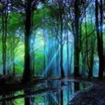 Deb Forrest - @deb_forrest - Instagram