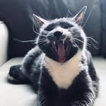 Deb Frank - @dfrank814 - Instagram