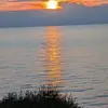 Deb Frank - @deb.frank1 - TikTok