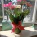Deb Freeman - Facebook