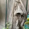 debfreeman25 - @deb.freeman3 - TikTok
