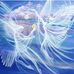 Debra Freeman - Facebook