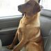 Deb Gallo - Facebook