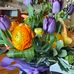 Deb Goetz - Facebook