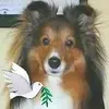 Debbie Goetz Kaelin - @debbiegoetzkaelin - TikTok