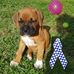 Deb Graham - Facebook