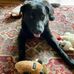 Deb Graham - Facebook