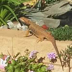 Deb Grantham - @deb_grantham - Instagram