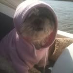 Deb Grantham - @deb.grantham - Instagram