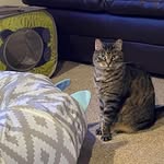 Debbie Grantham - @dlg1656 - Instagram
