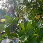 Debbie Grantham Sicklesteel - @sicklesd - Instagram