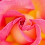Debra Grantham - @dgrantham57 - Instagram