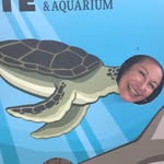 Deb Gregory - @californiadeb64 - Instagram