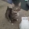 Debbie Gress - @debbie.gress2 - TikTok
