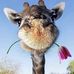 Deb Griffin Castano - Facebook
