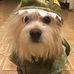 Deb Griffin Lowe - Facebook