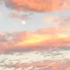 debgriffin4 - @debgriffin4 - TikTok