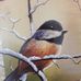 Deb Ham - Facebook