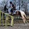 Debbie Ham652 - @debham71 - TikTok