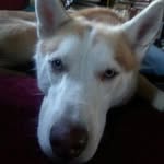 Deb Hartman - @gramma__debbie - Instagram