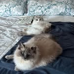 Deb Heller - @debbie.heller.7 - Instagram