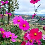Deb Helleren - @deb_helleren - Instagram