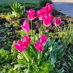 Deb Hendricks - Facebook