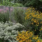 Deb Hurlburt Hendricks - @hendricksdeb - Instagram