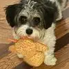 Deb Woodson Hendricks - @deb.woodson.hendr - TikTok