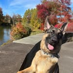 Deb Hendrickson - @debbbers899 - Instagram