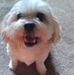 Deb Herman - Facebook