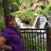 Deb Herman - Facebook