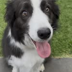 Deb Herman - @hermandeb - Instagram