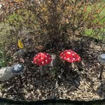 Deb Hillman - Facebook